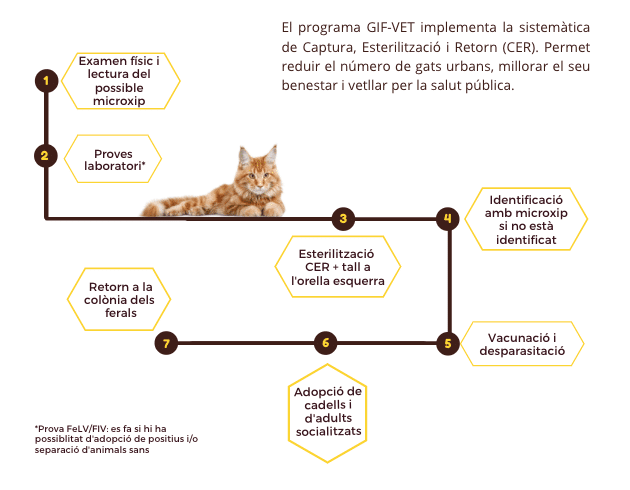 proces_gif_vet