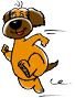 xipi